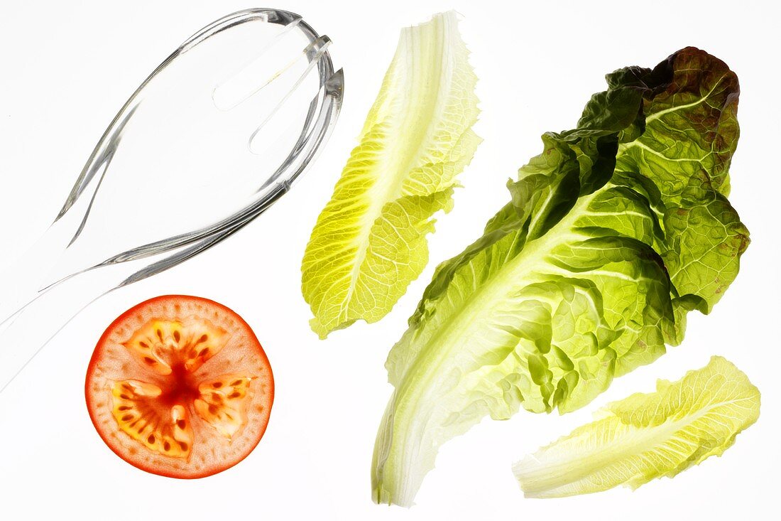 Salatzutaten und Salatbesteck