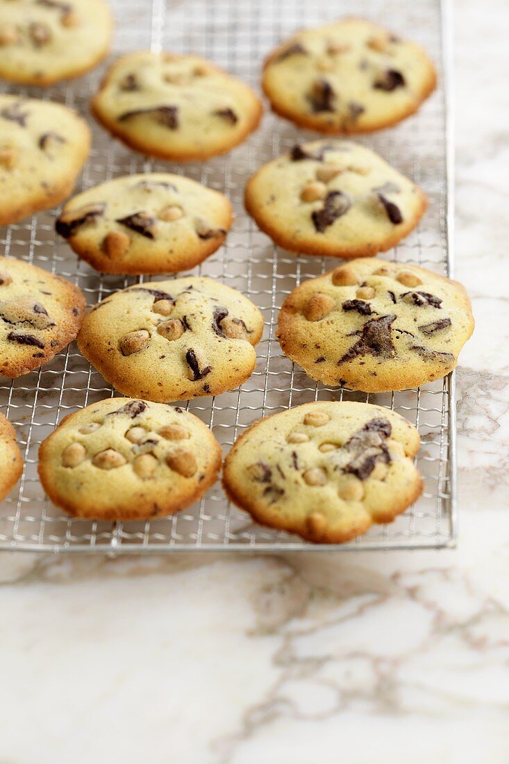 Cookies on cake rack