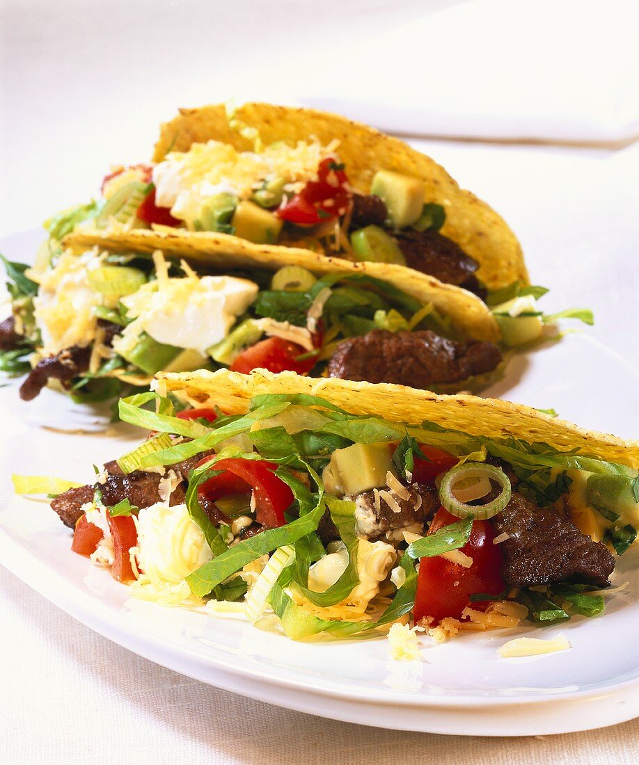 Tacos with strips of steak and salad