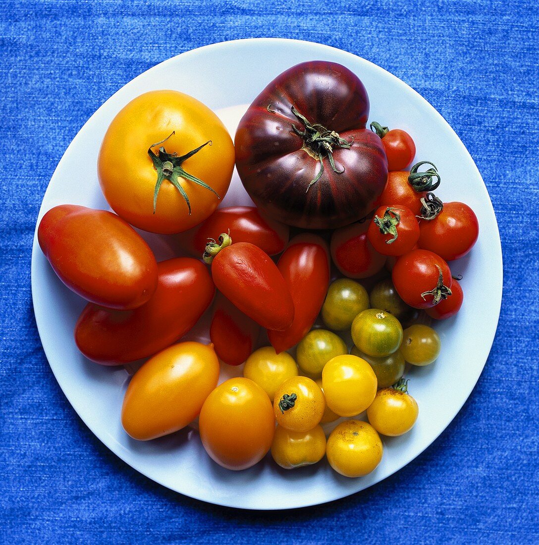 Various types of tomatoes on a plate