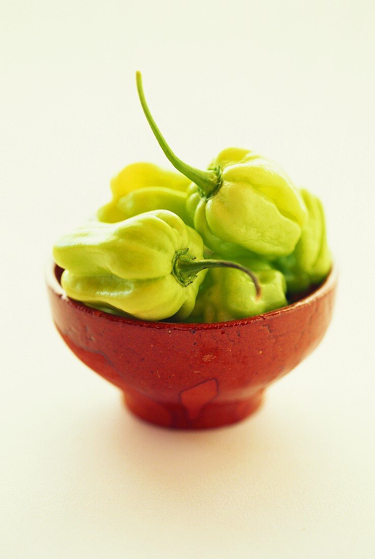 Mini-peppers in a bowl