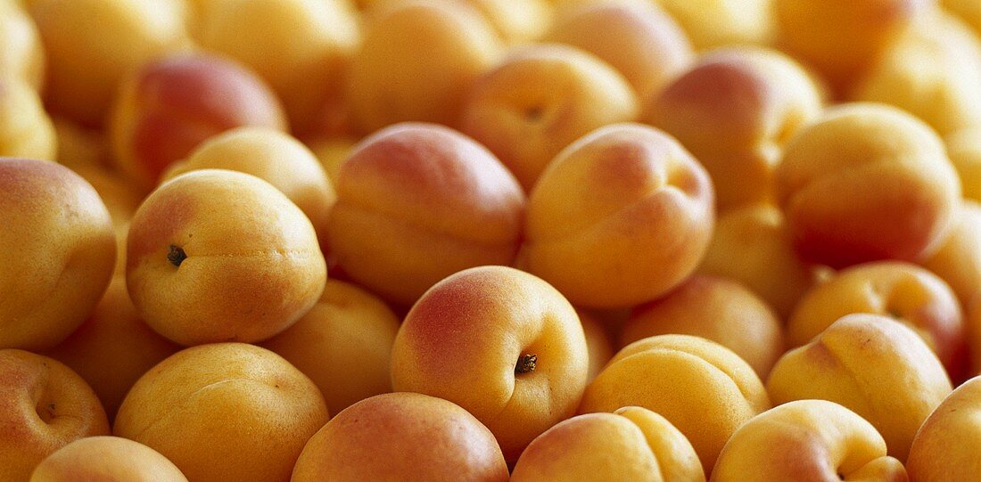 Apricots (filling the picture)