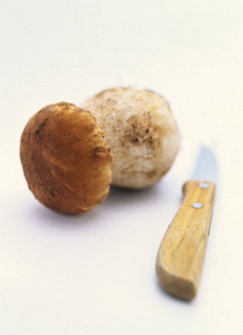 Cep with knife
