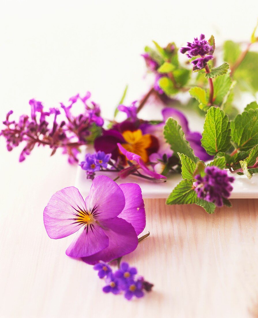 Still life with pansies