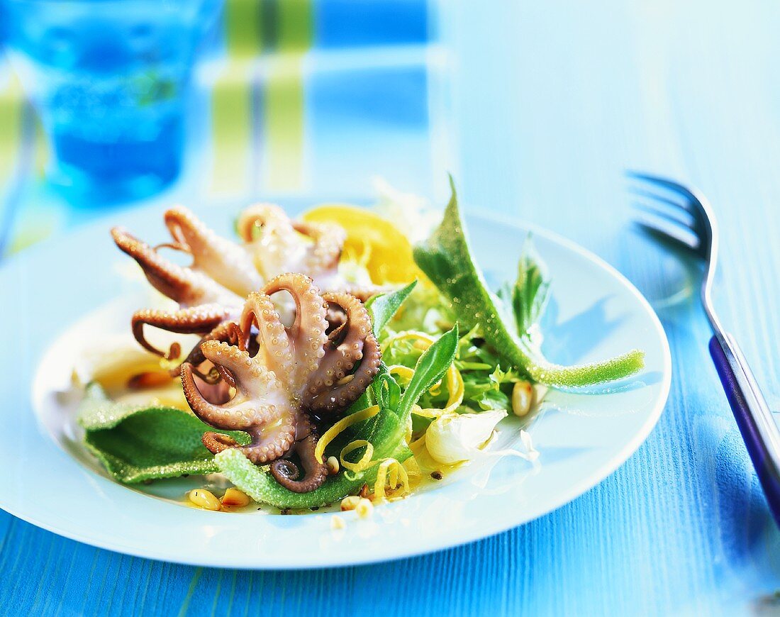 Oktopus auf Salat
