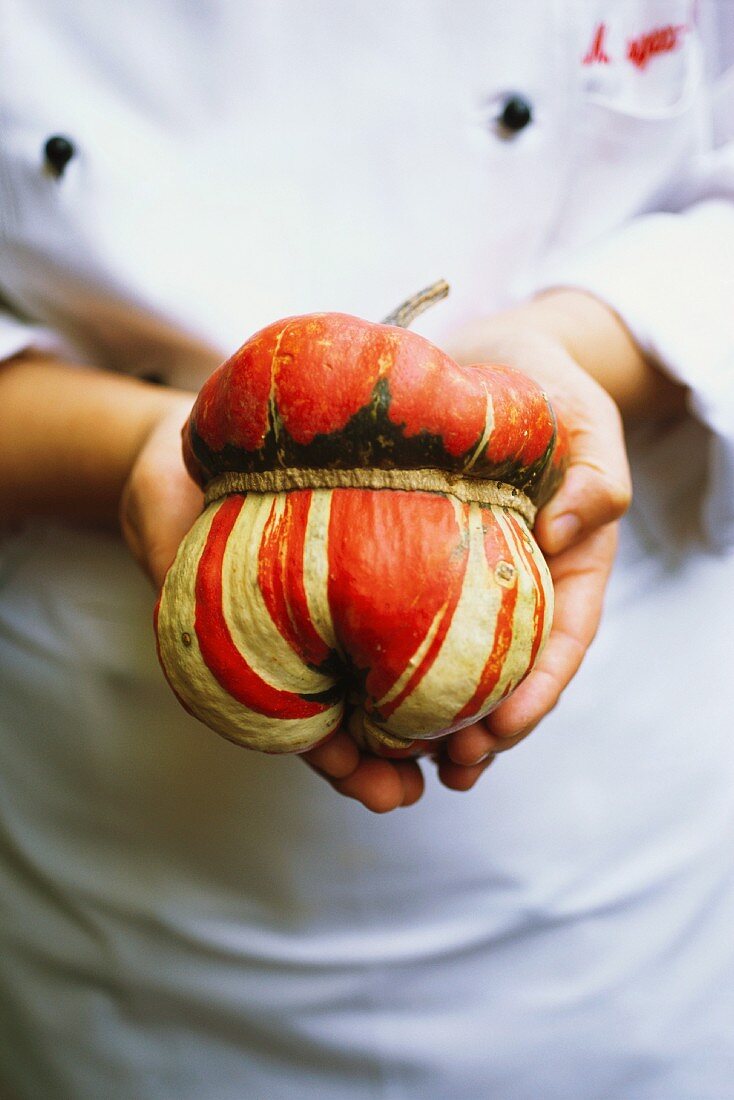 Patty pan squash (ornamental and edible squash)