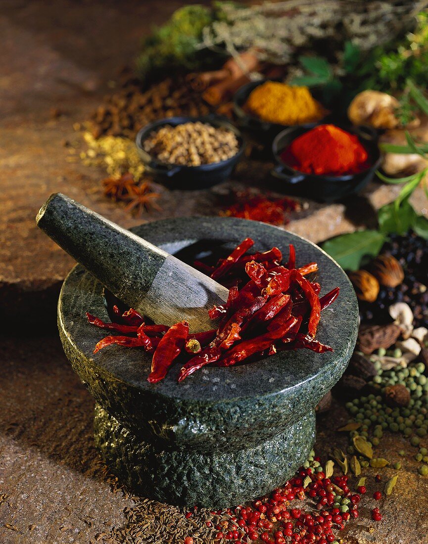 Mortar with chili peppers and spices