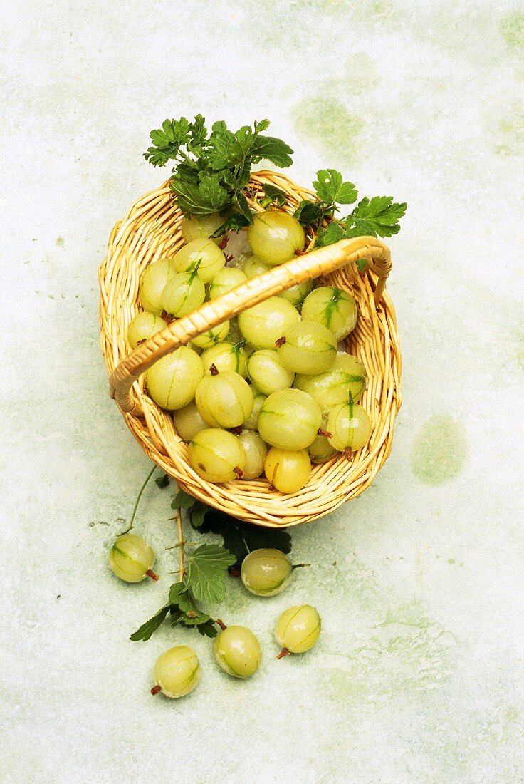 Basket of gooseberries