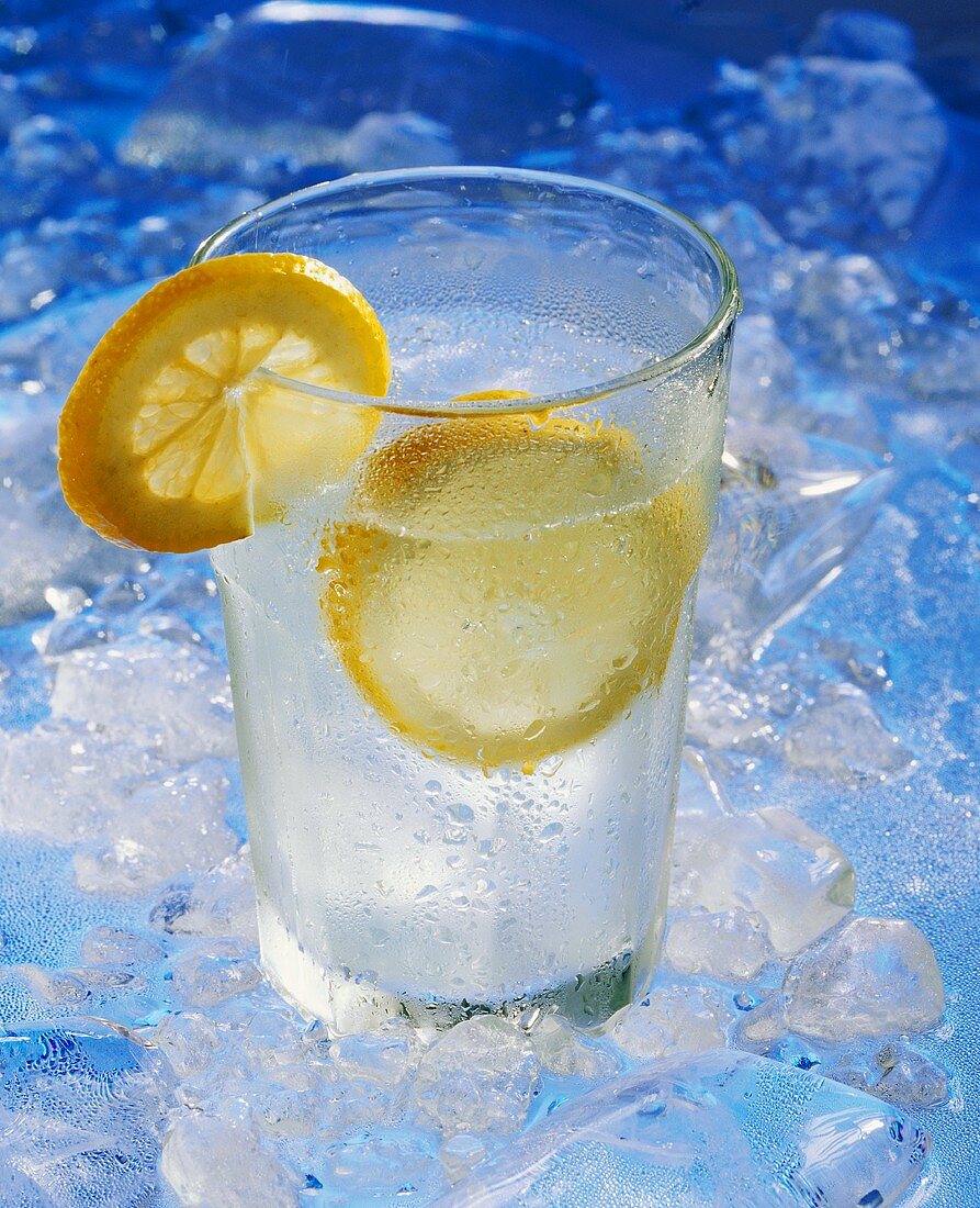 Ein Glas Mineralwasser mit Zitronenscheiben