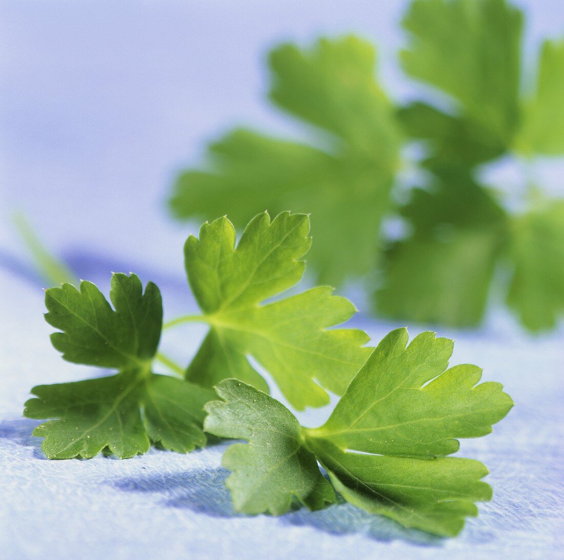 Parsley