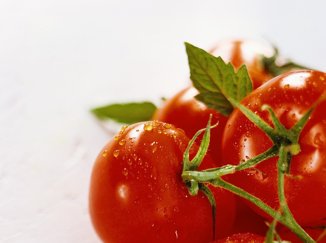 Tomatoes with drops of water