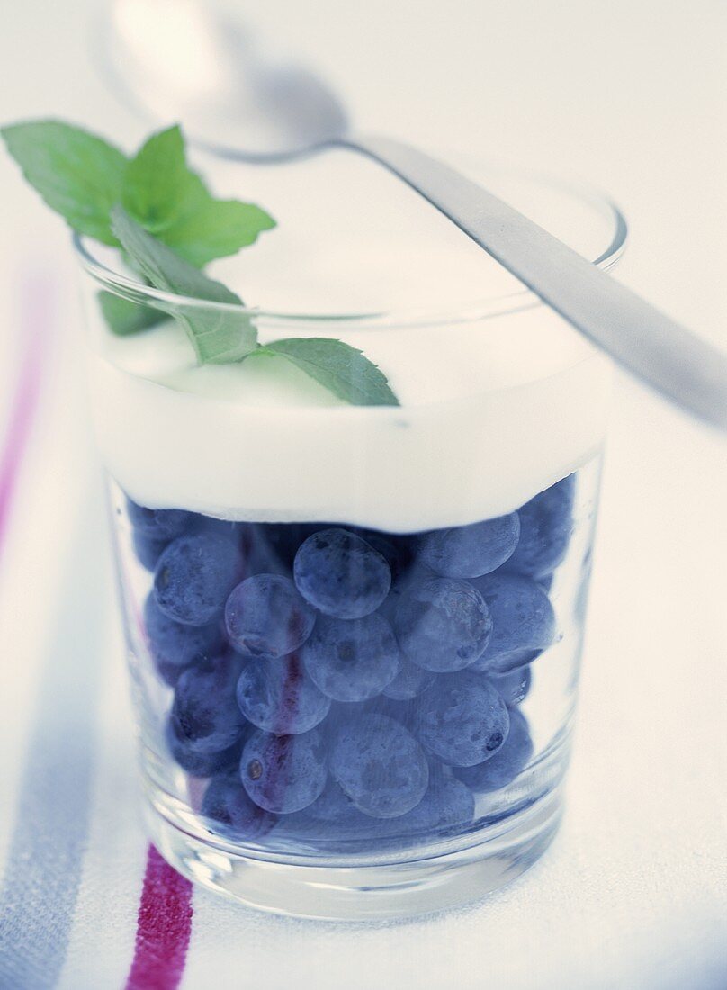 Fresh blueberries with yoghurt