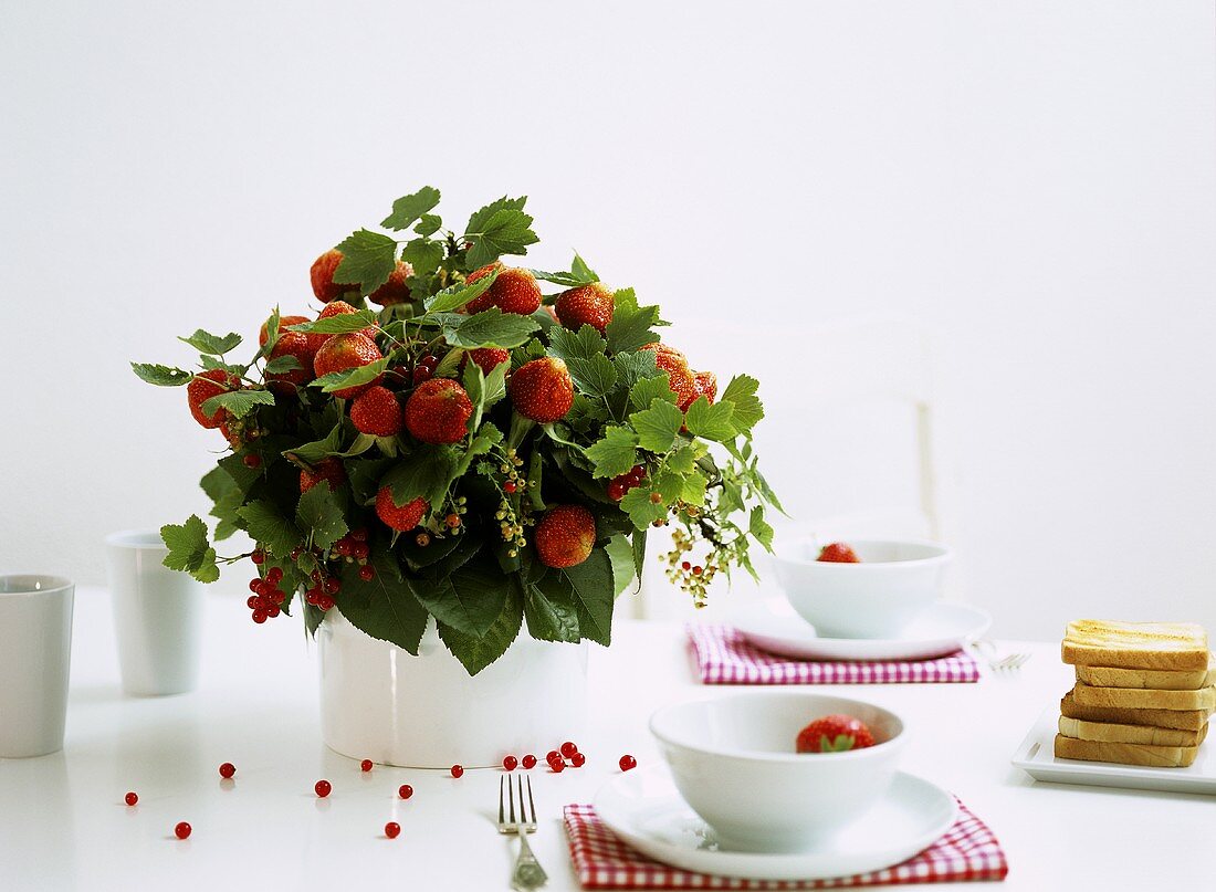 Bouquet of strawberries and redcurrants
