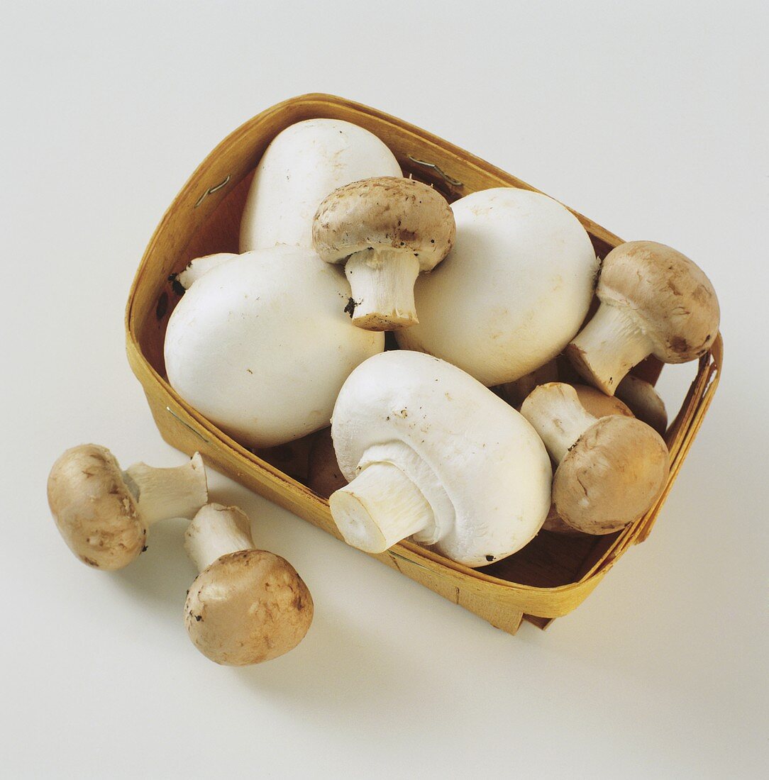 White and brown button mushrooms