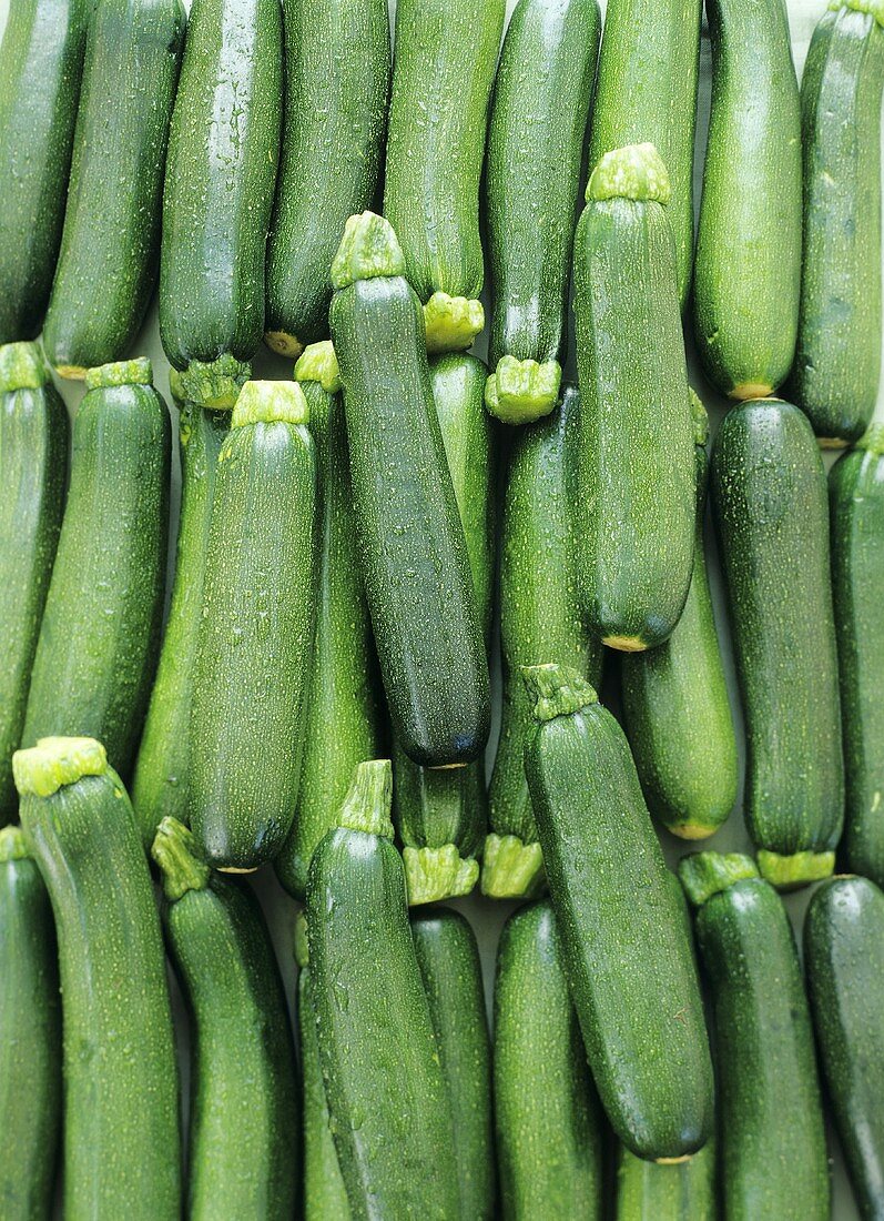 Courgettes