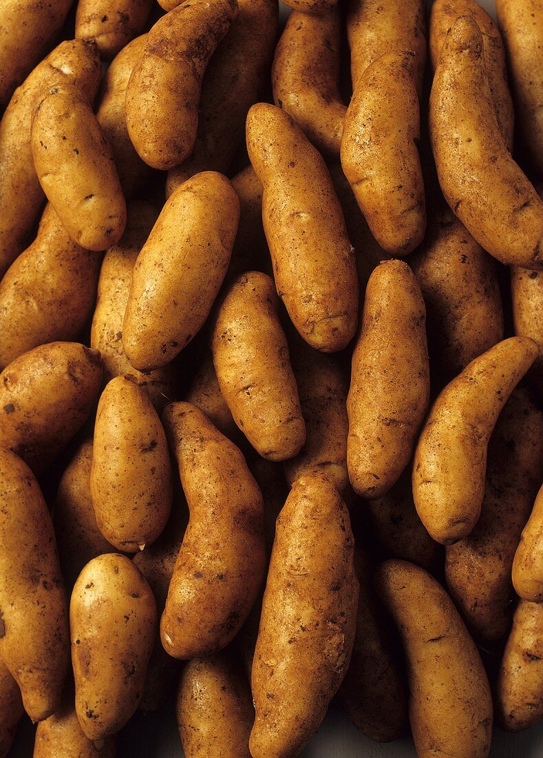 Kartoffeln (Sorte: Kipfler)