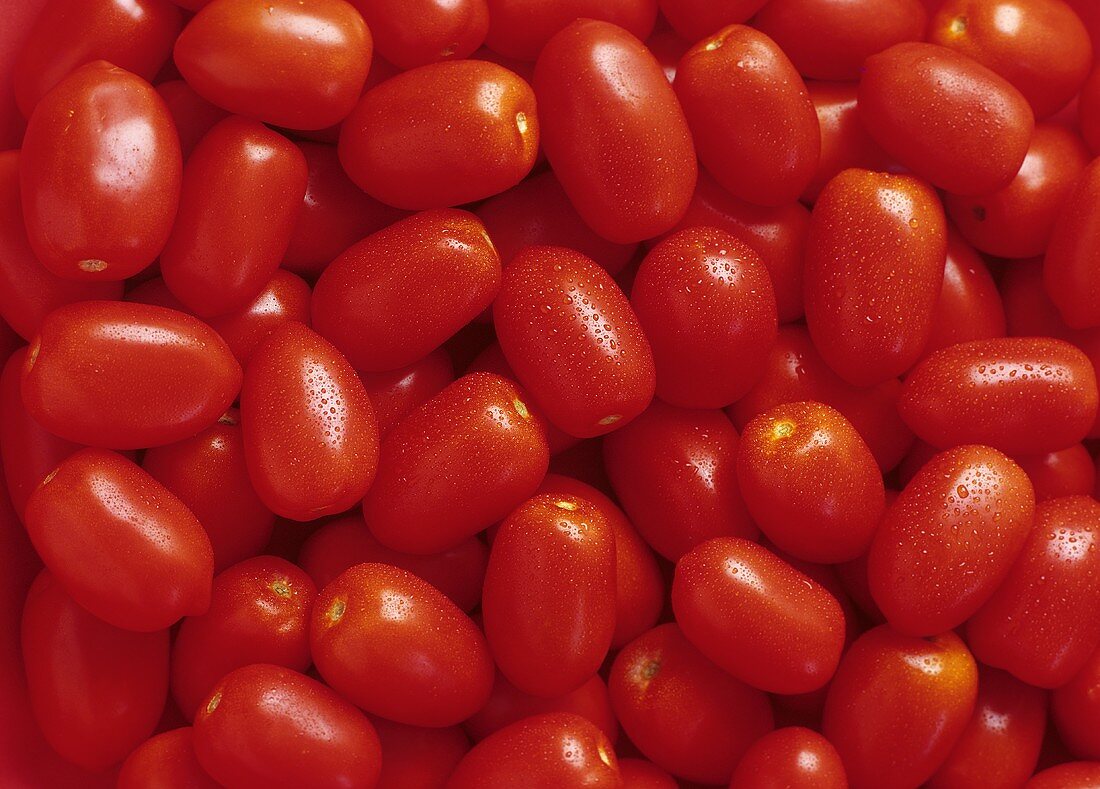 Tomaten (Sorte: Roma)