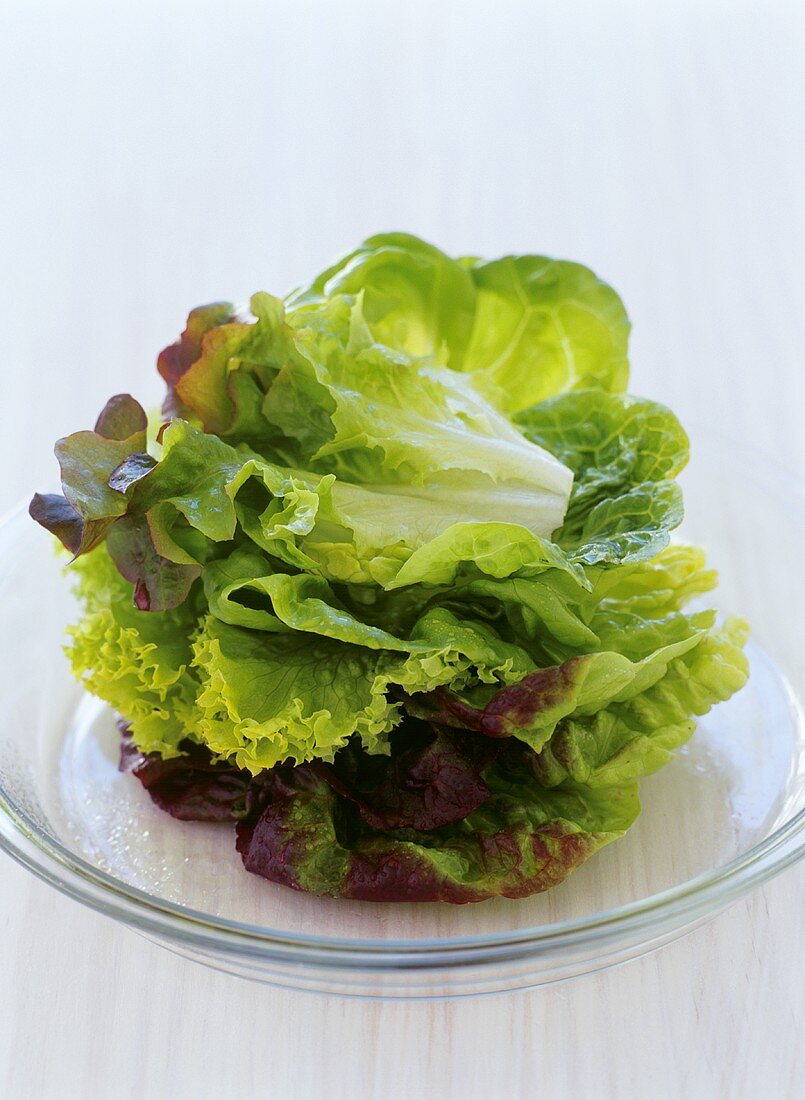 Assorted salad leaves