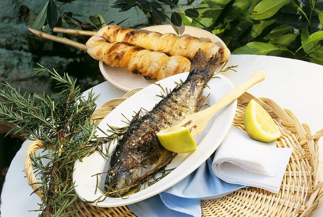 Trout barbecued on rosemary