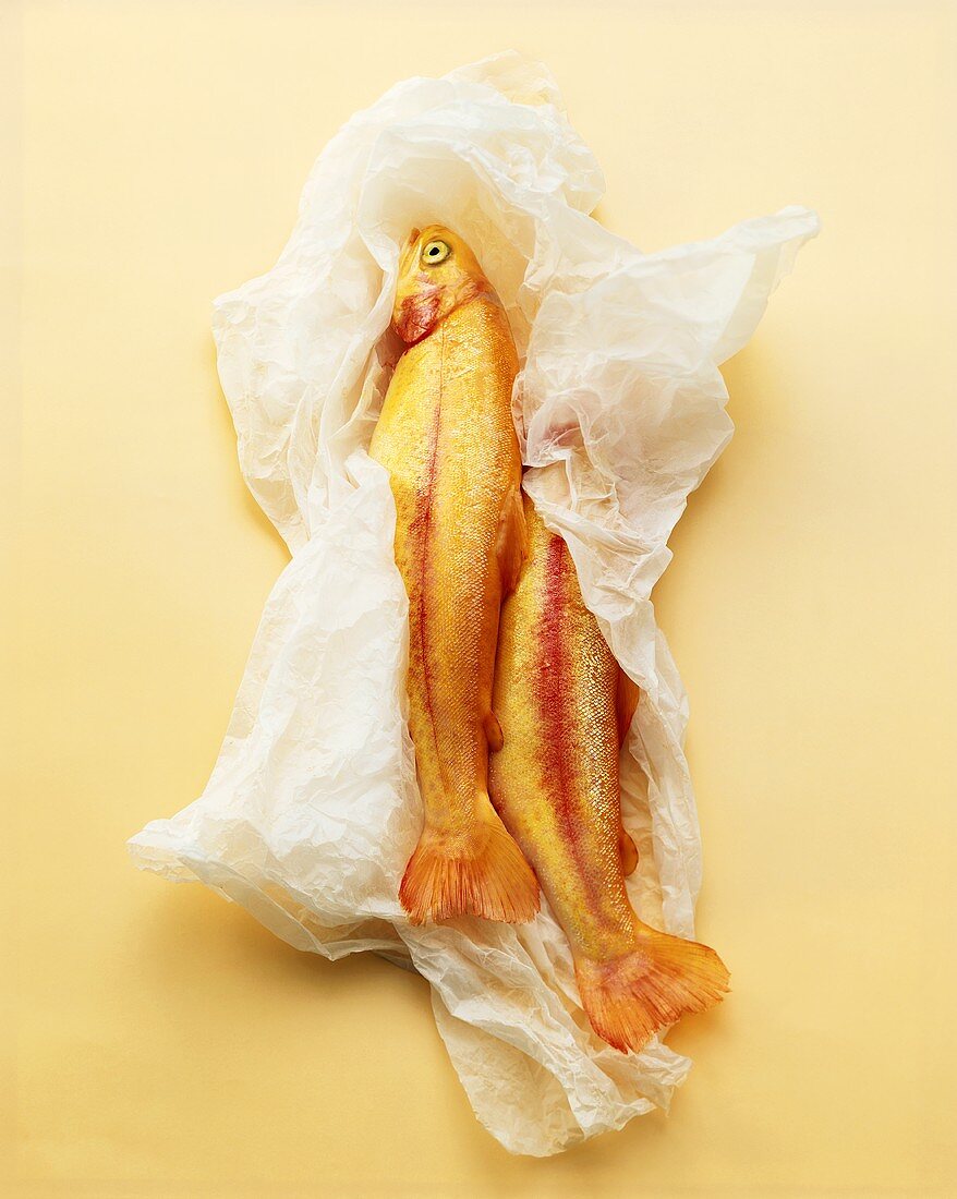 Two golden trout in greaseproof paper