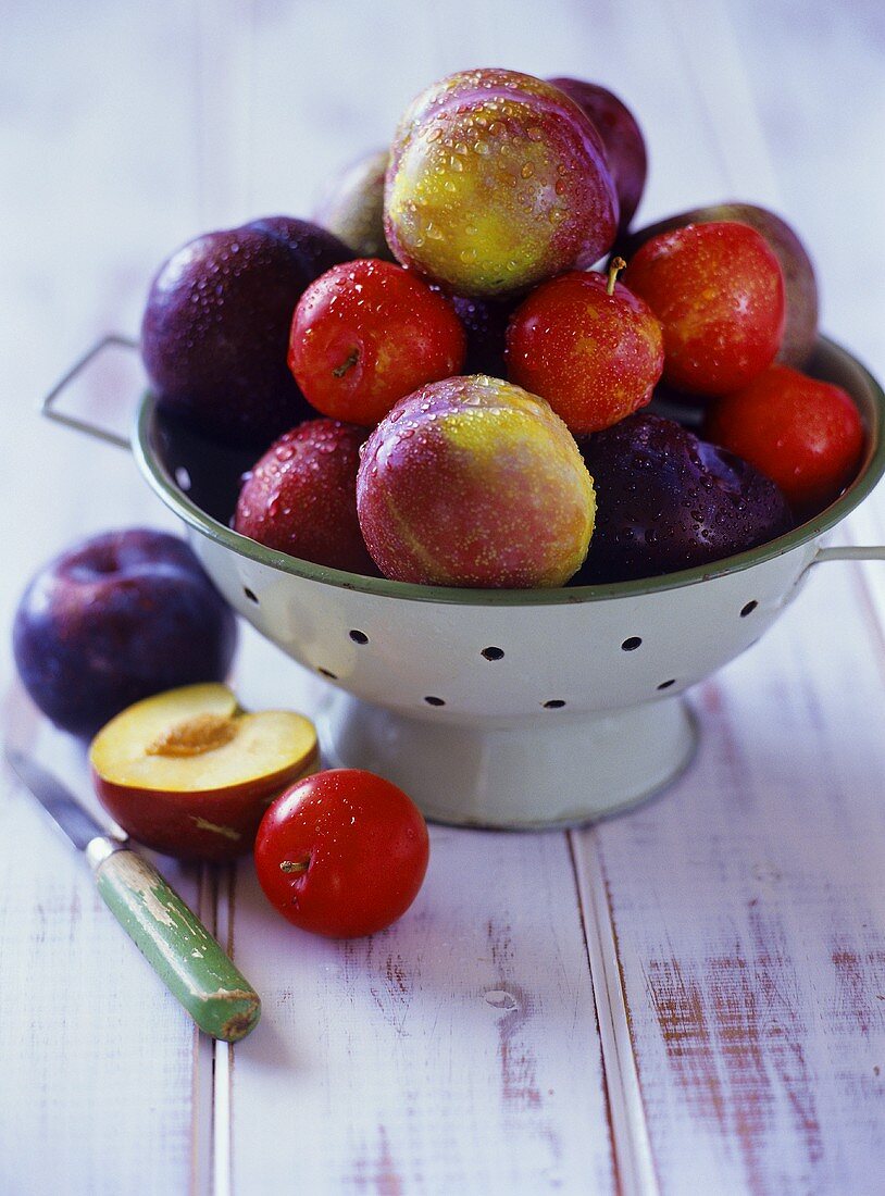 Various types of plums in a colander
