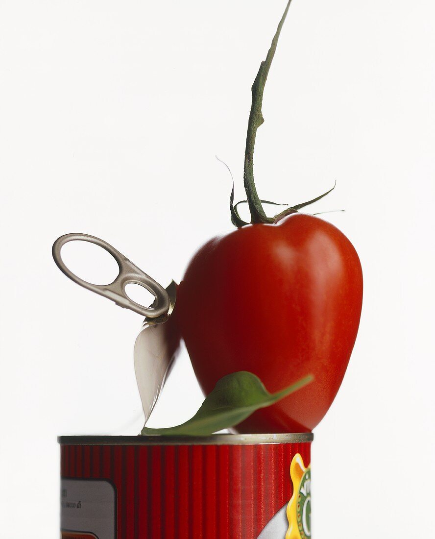 Frische Tomate mit Konservendose