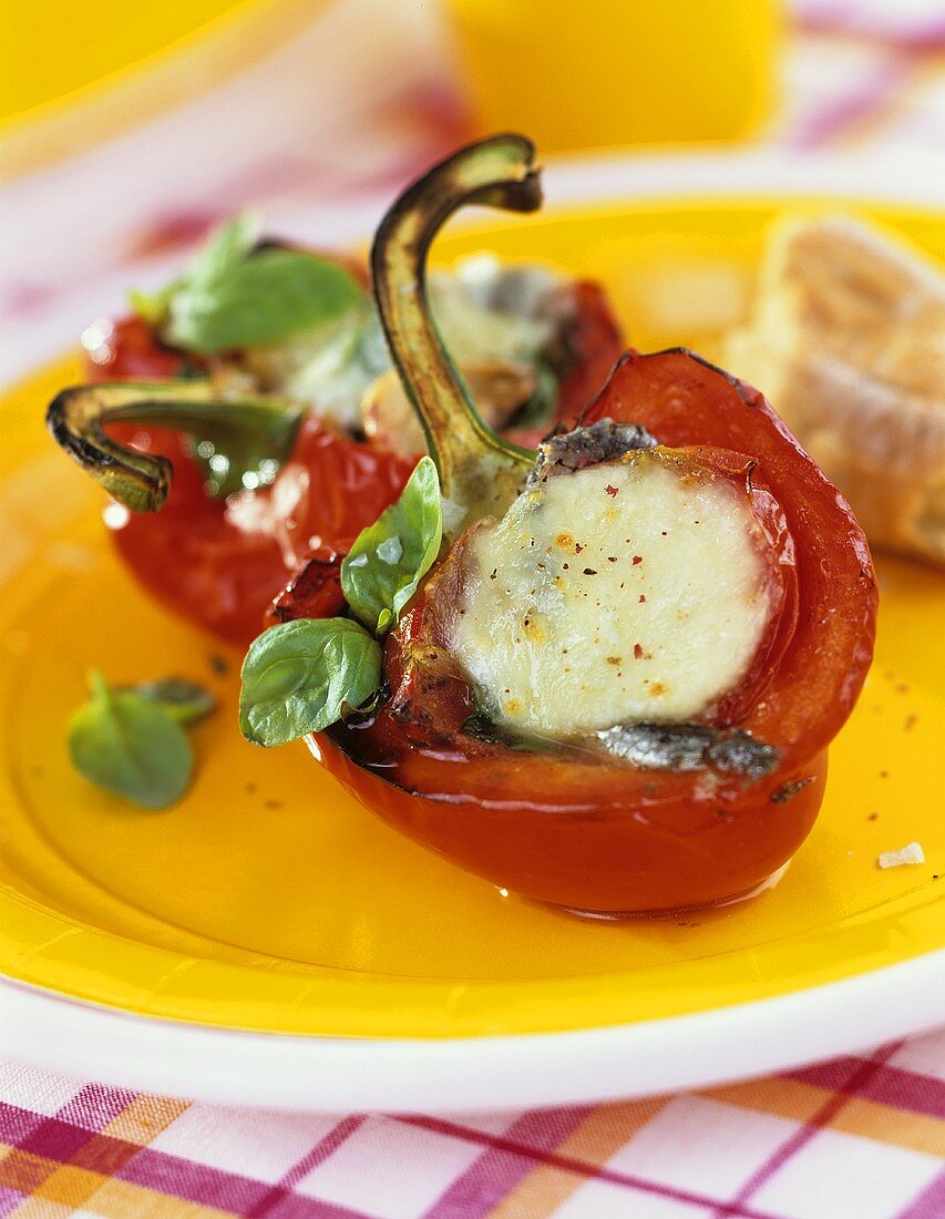 Paprika mit Mozzarella und Anchovis gefüllt