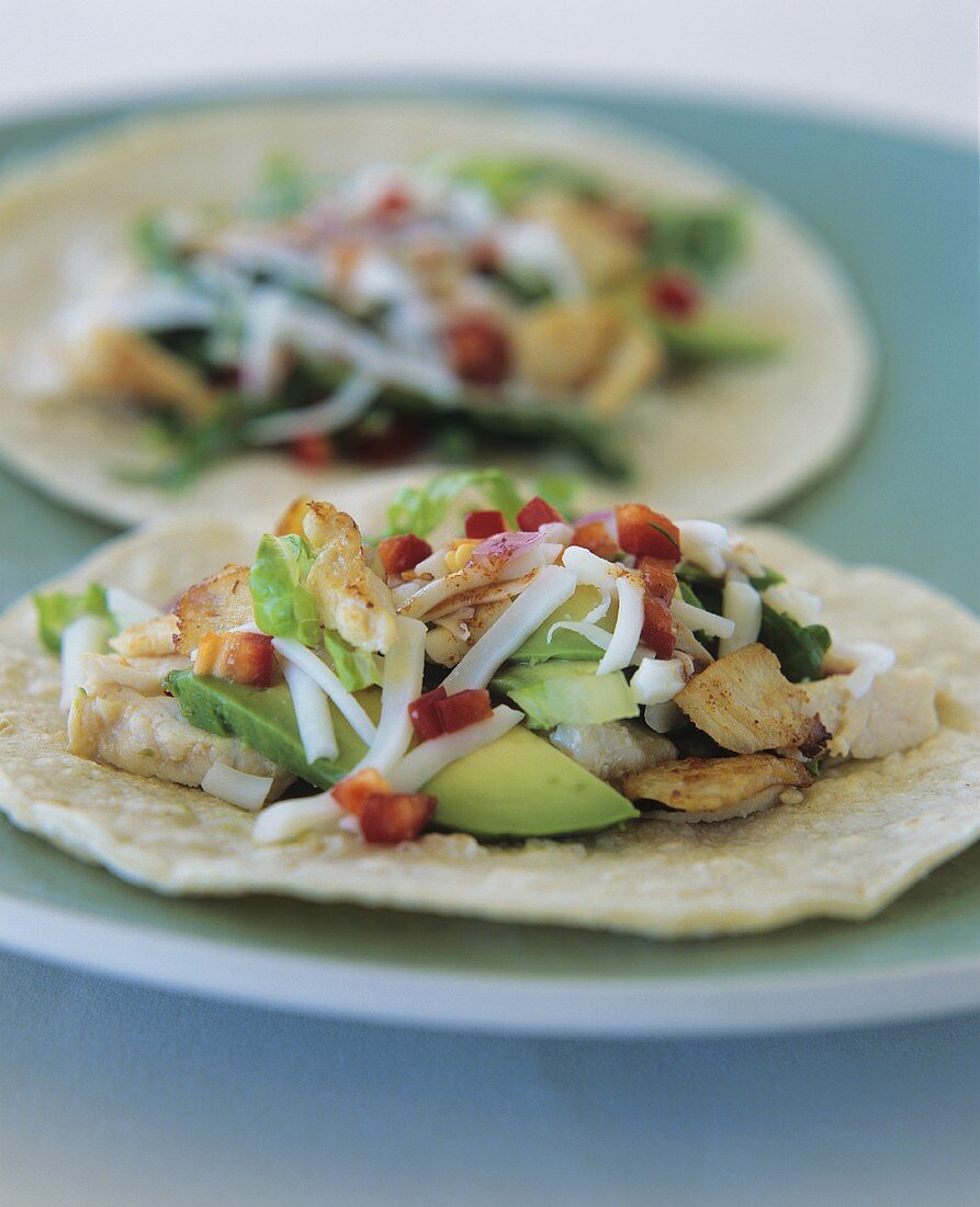 Wheat tortilla with chicken and avocado