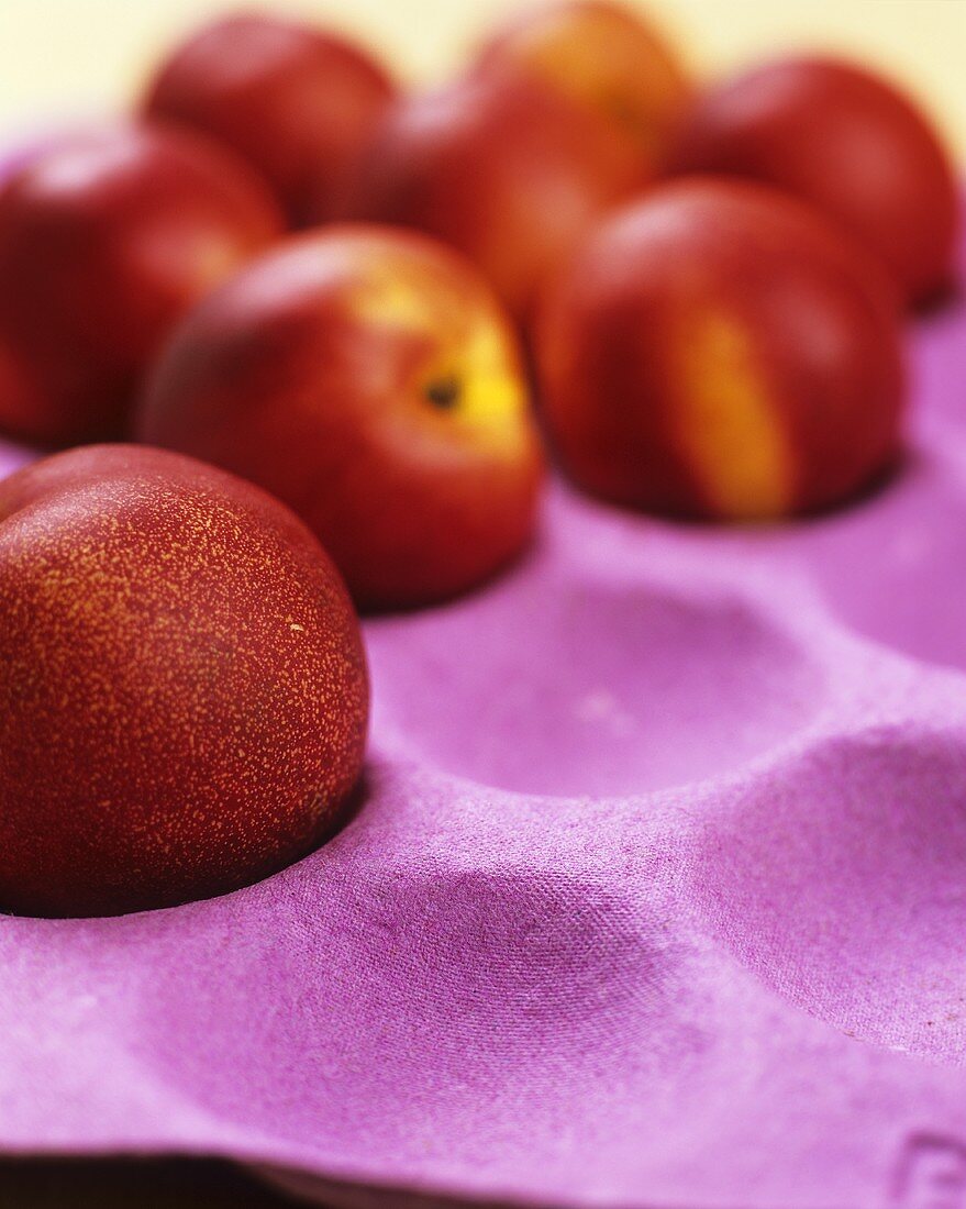 Nectarines in an egg tray