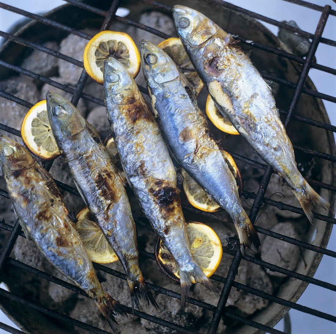 Grilled sardines