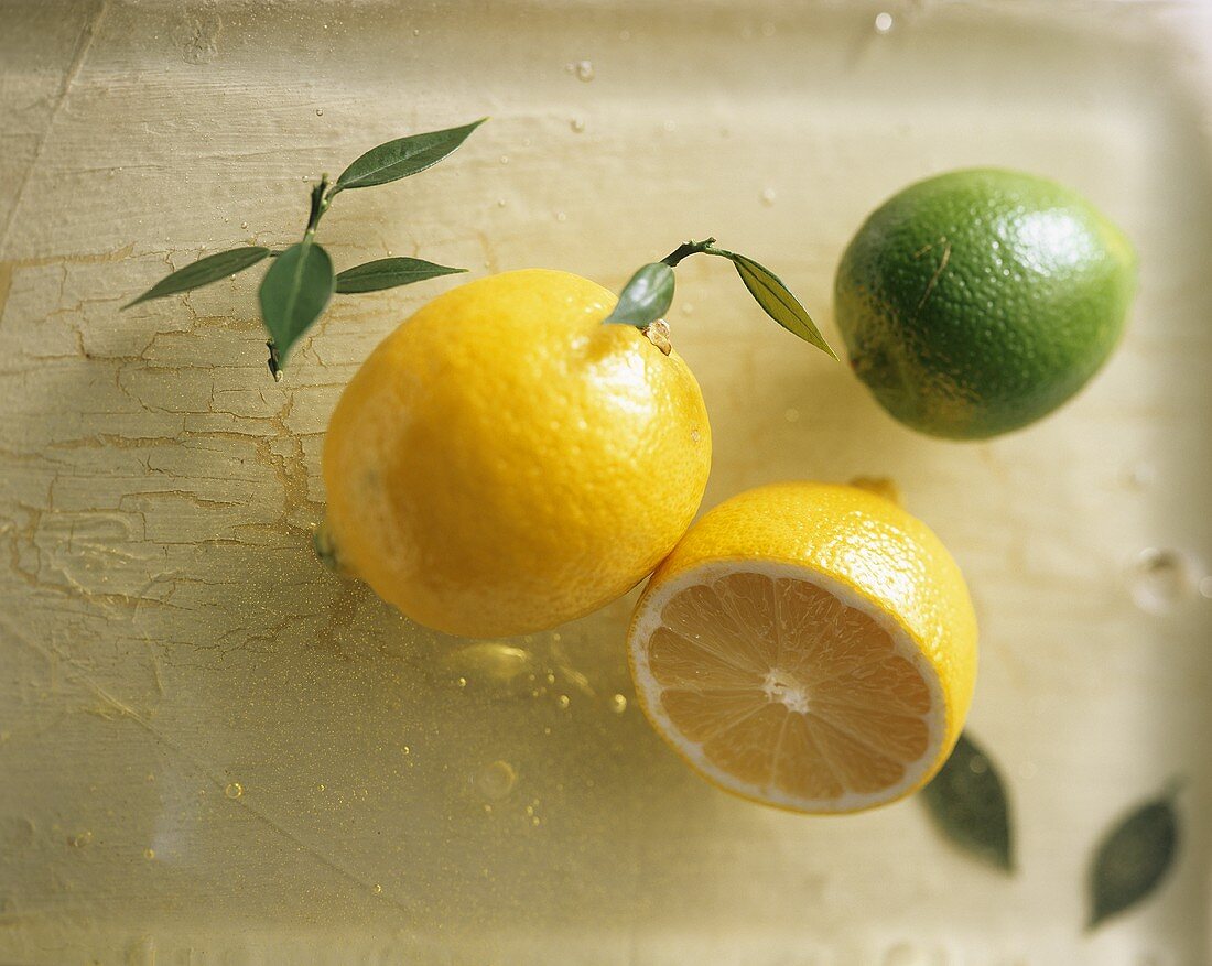 Stillleben mit Zitrone und Limette