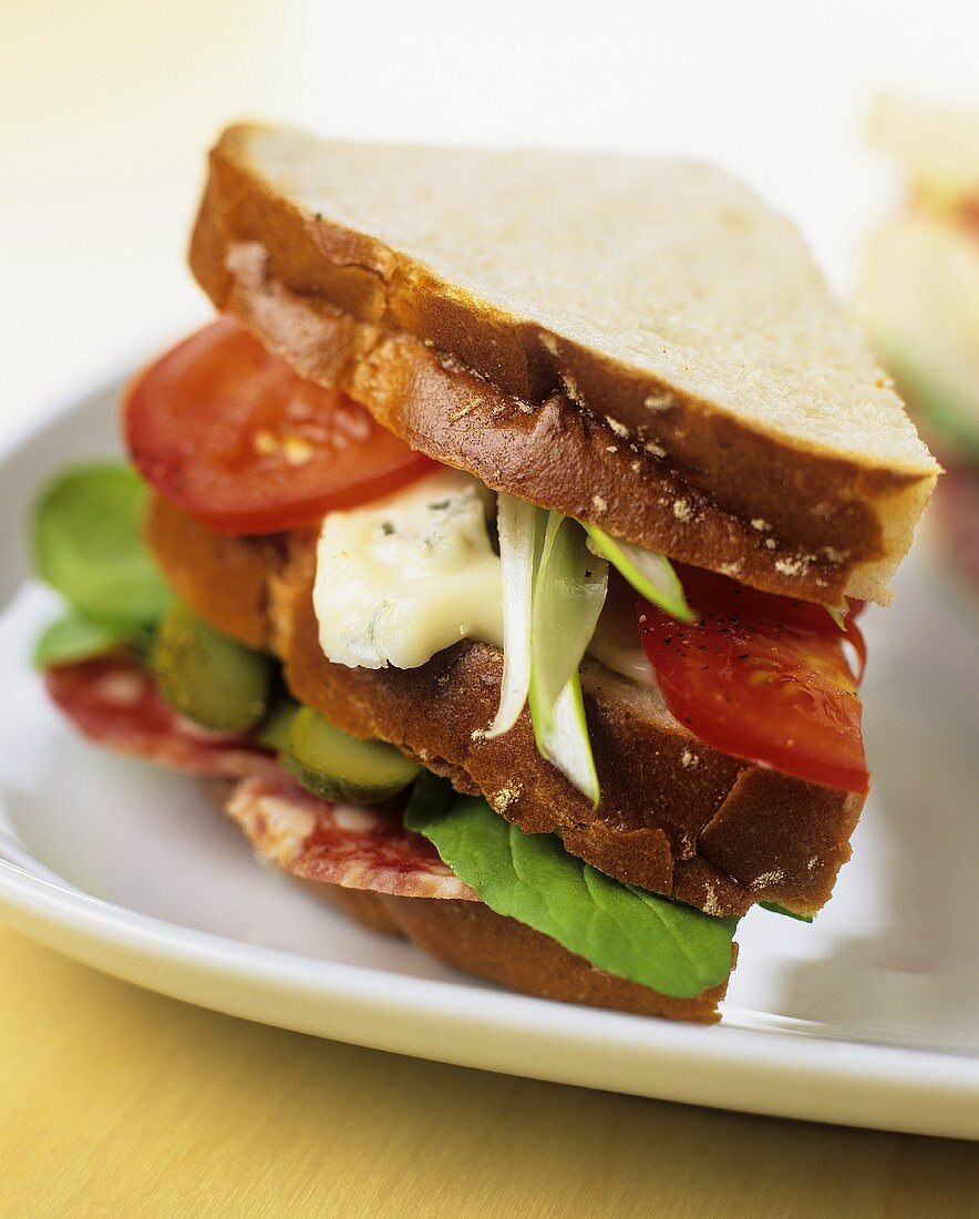 Salami, tomato and cheese sandwich