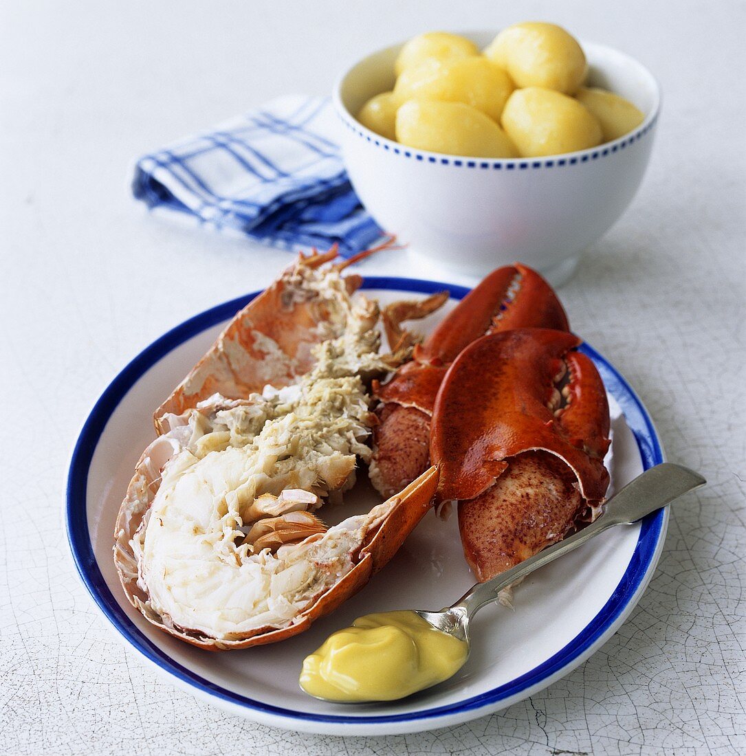 Hummer mit Mayonnaise und Kartoffeln