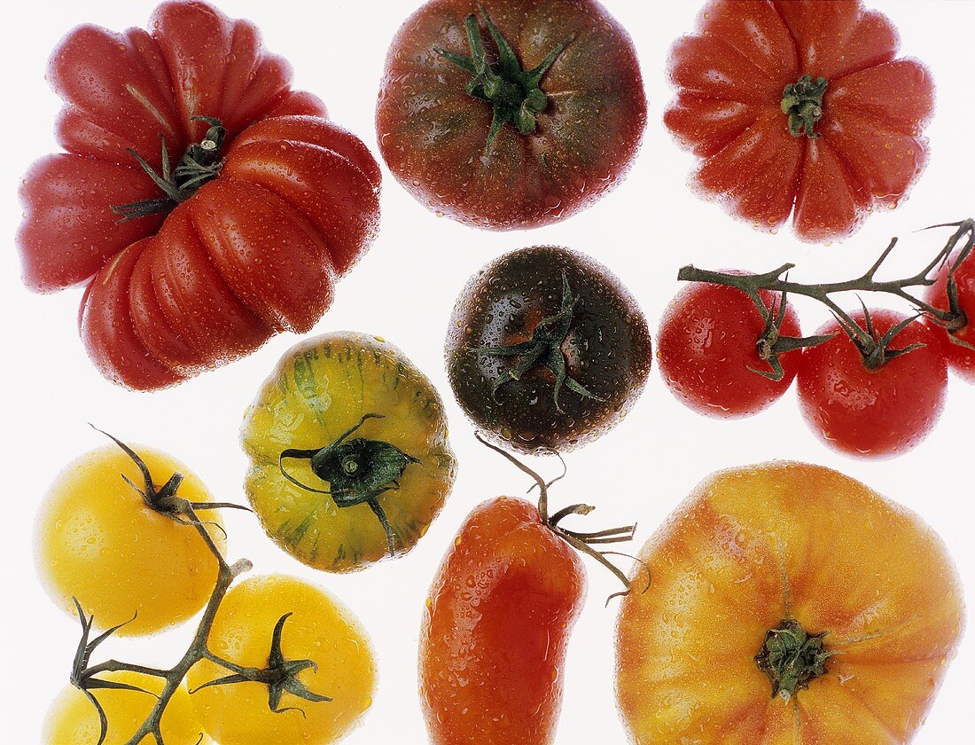 Verschiedene Tomaten