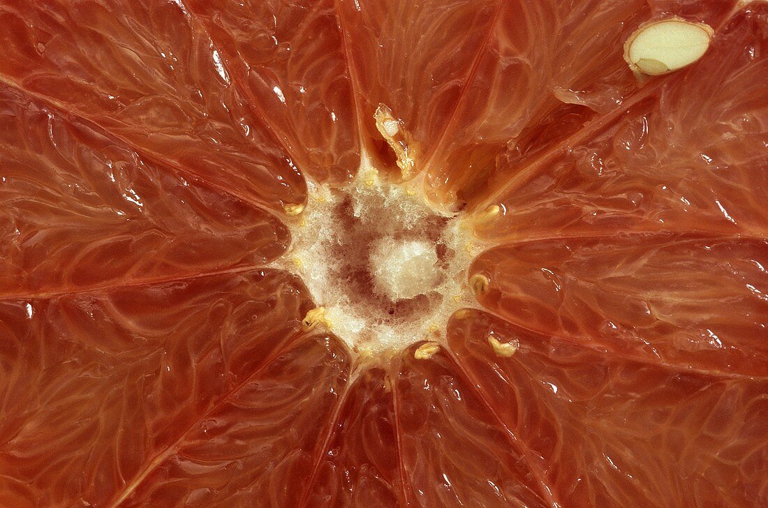 Slice of grapefruit (close-up)