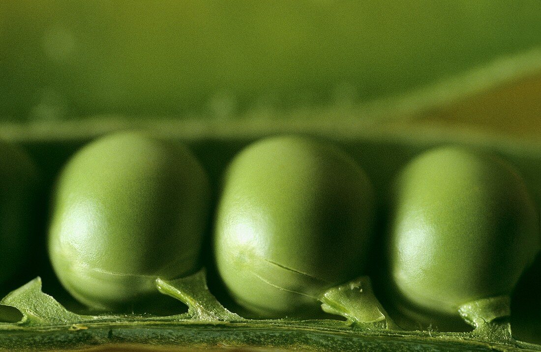 Opened pea pod