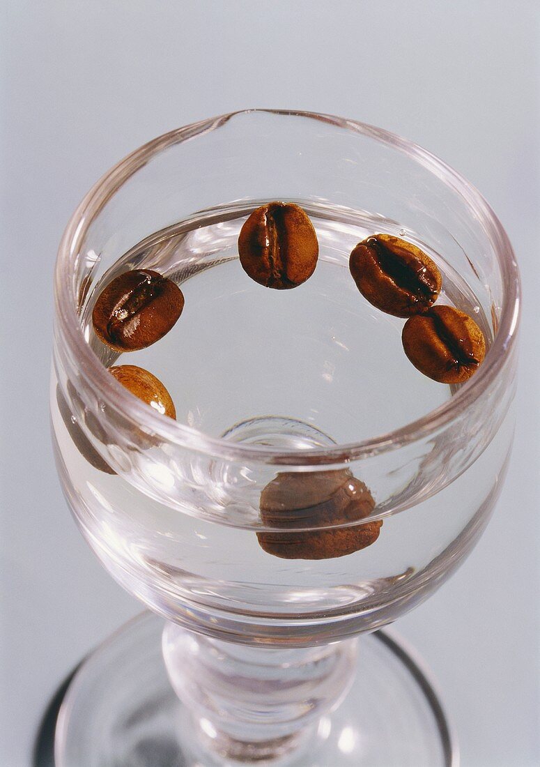 A glass of Sambuca with coffee beans