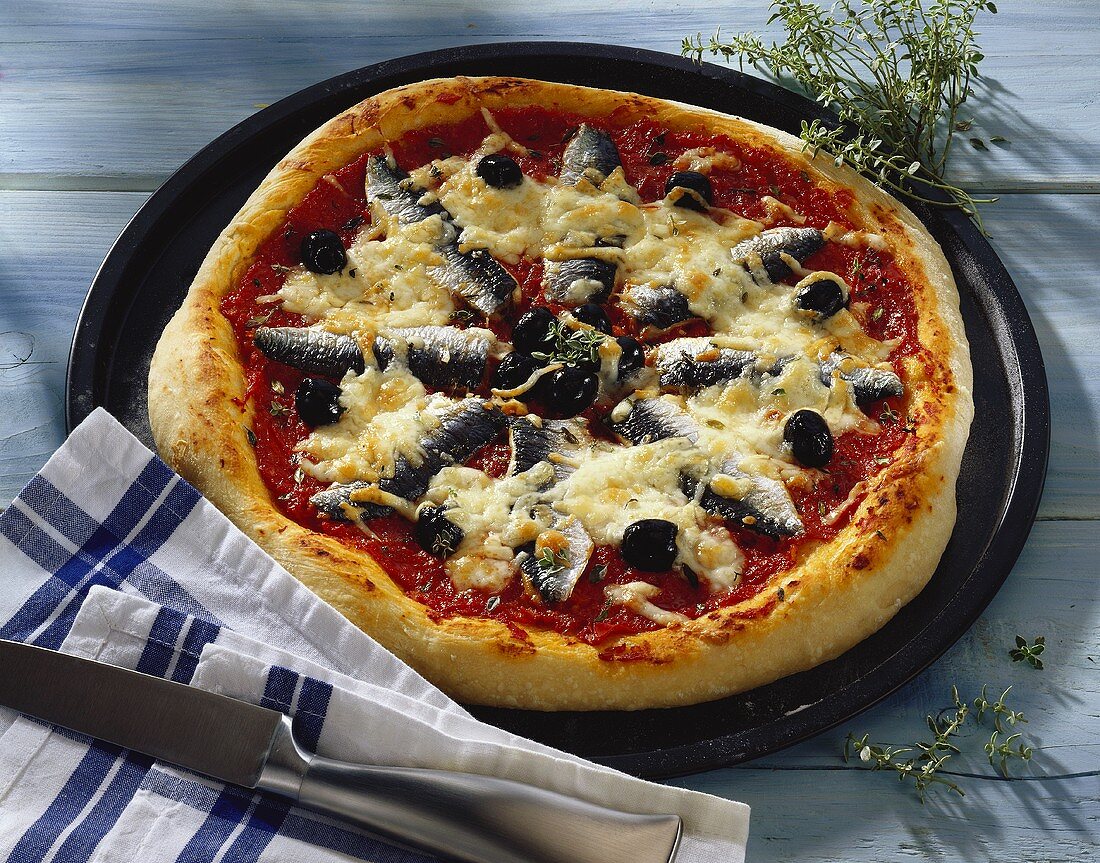 Pizza siciliana (pizza with sardines), Sicily, Italy