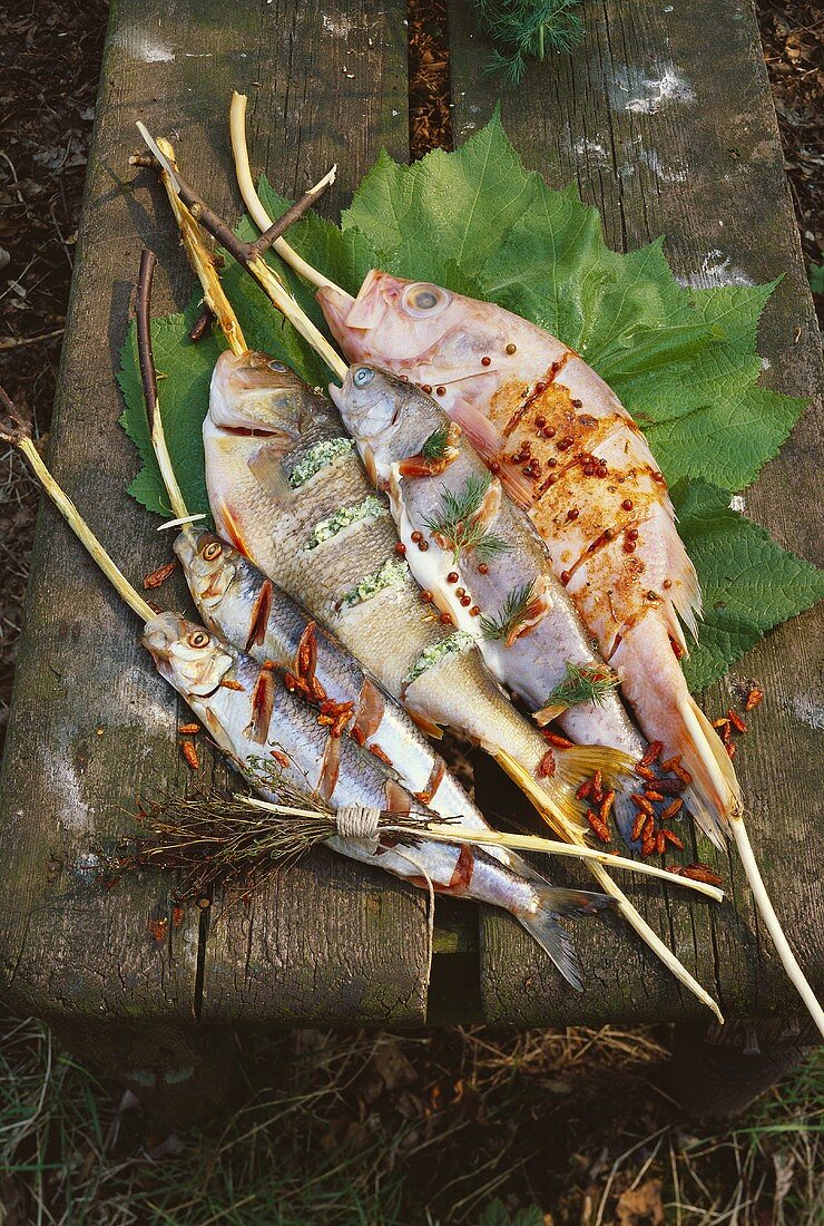 Various types of fish on wooden skewers