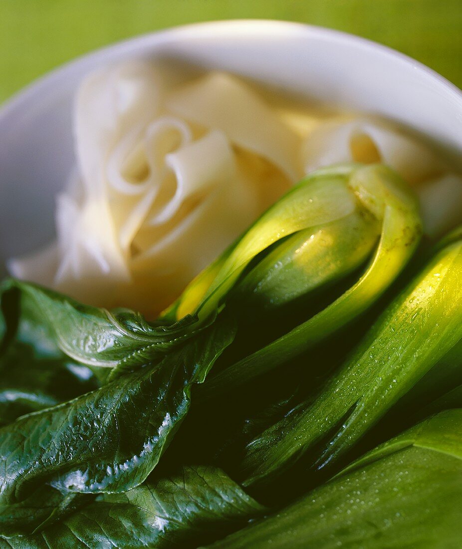 Pak choi with rice noodles on plate