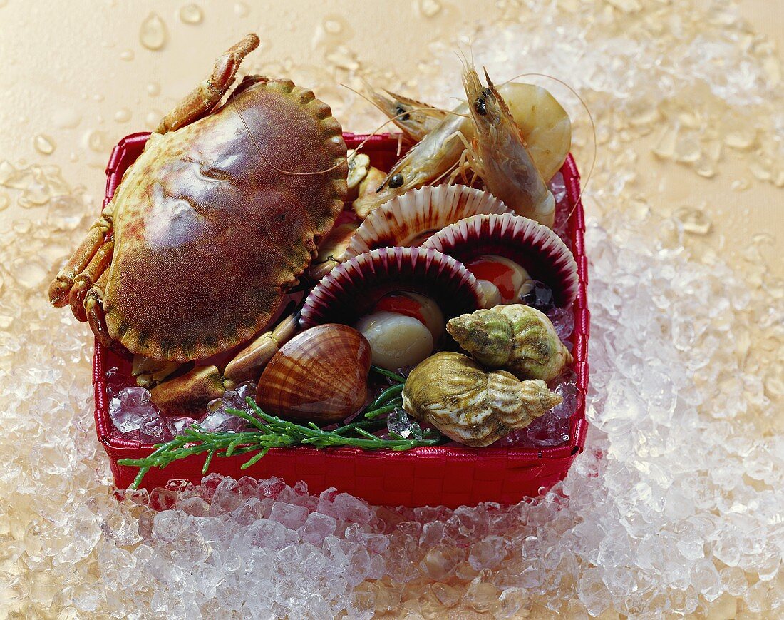Fresh shellfish (crab, mussels etc.) in basket