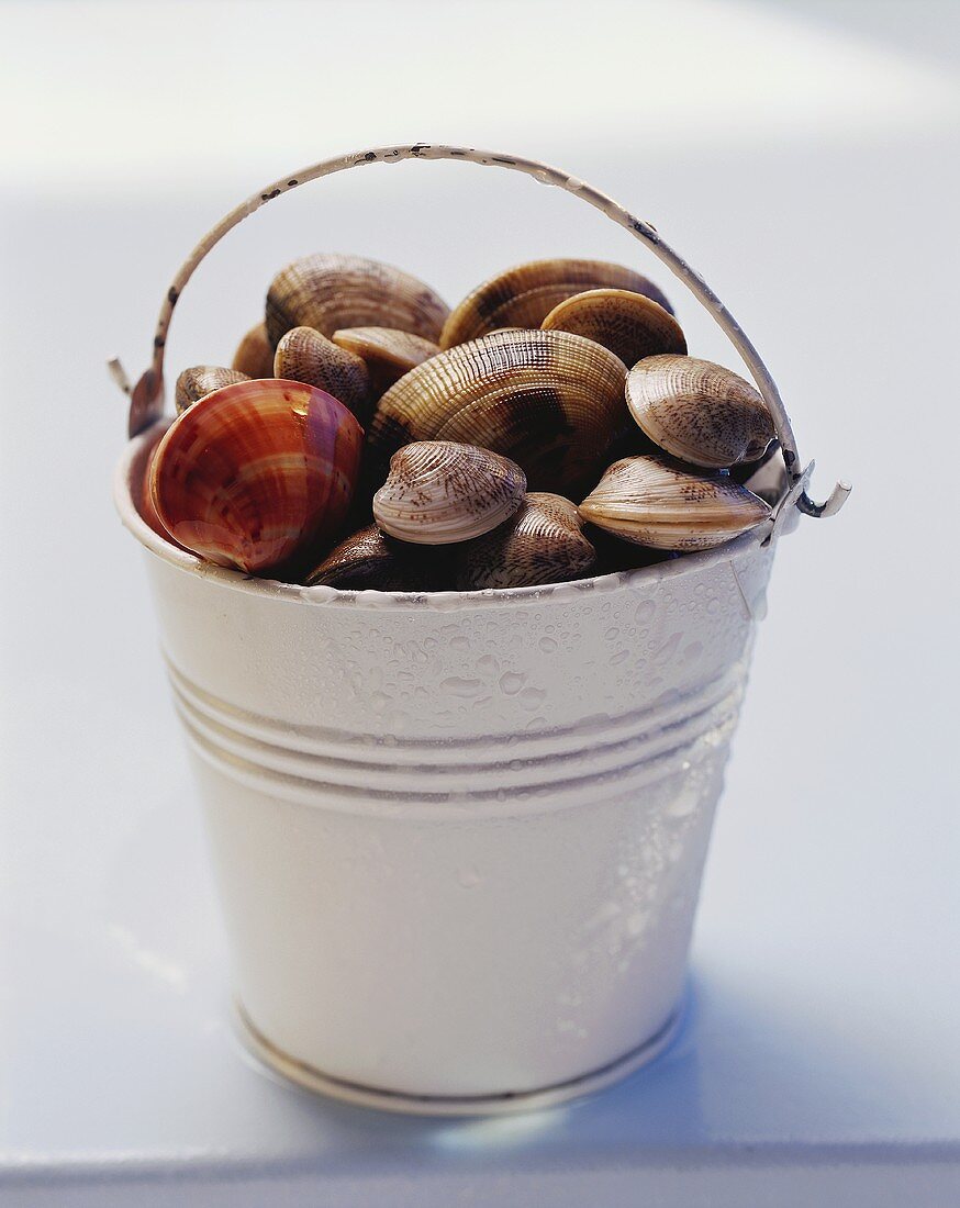 Bucket of various shellfish