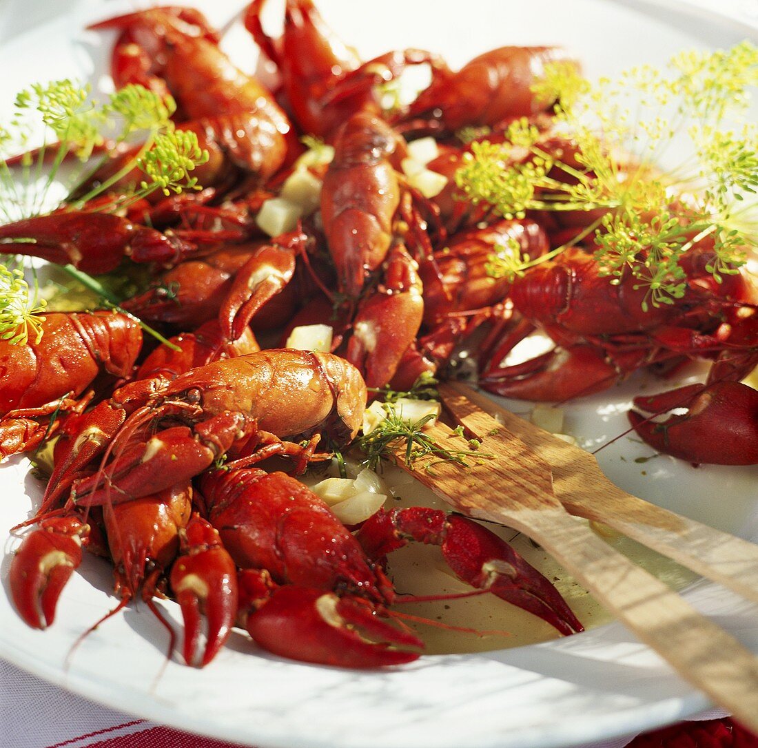 Freshwater crayfish with dill