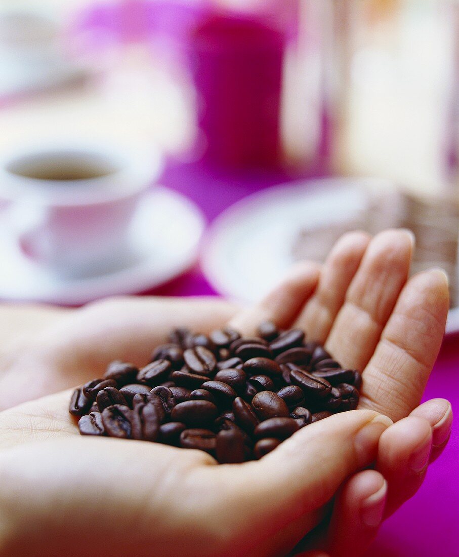 Hand holding coffee beans