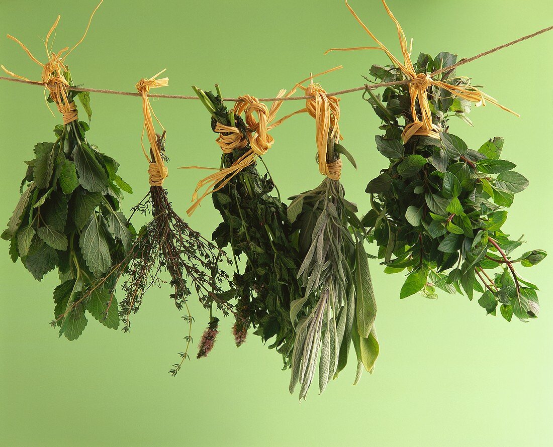 Various herbs hanging up to dry