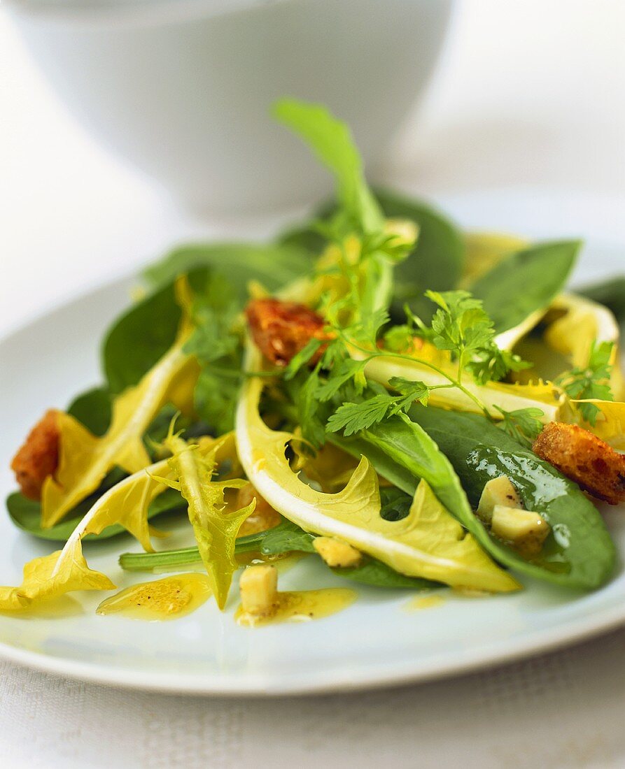 Salad leaves with vinaigrette and croutons