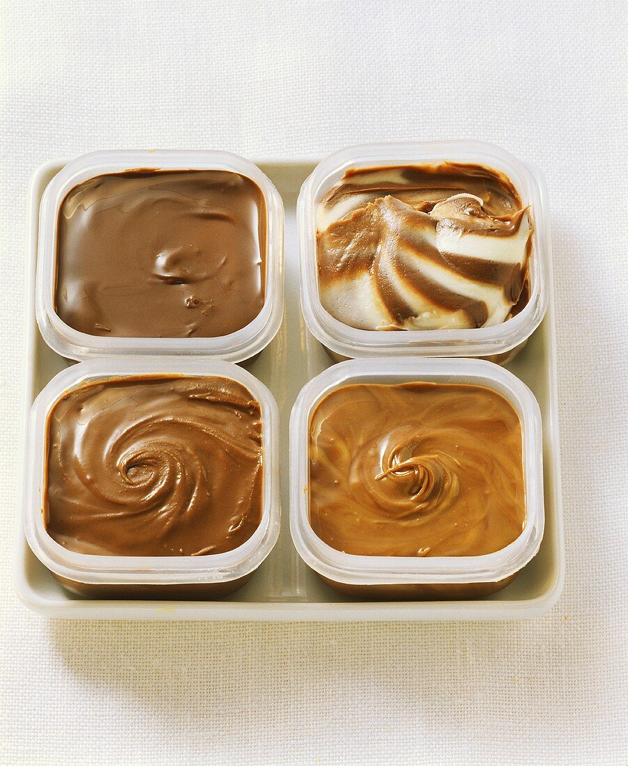 Chocolate ice cream in food storage boxes