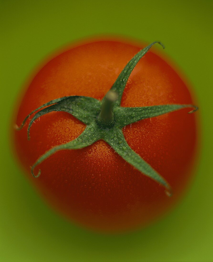 Eine rote Tomate