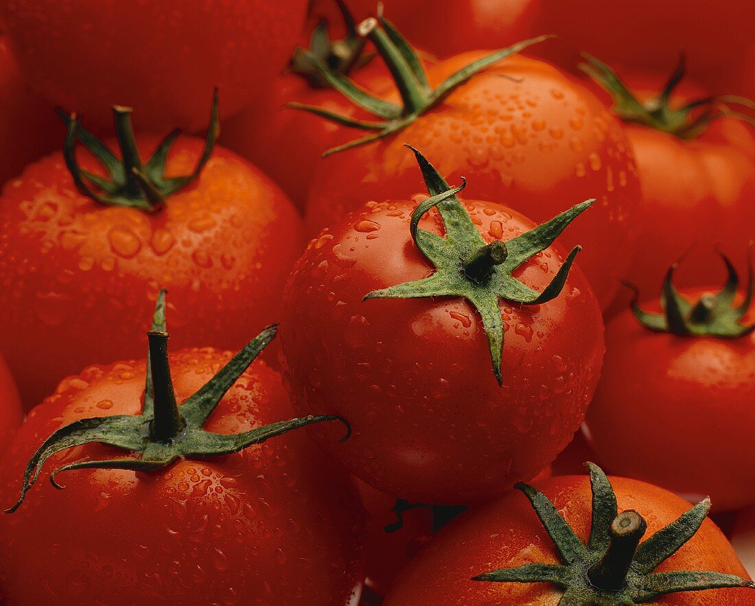 Tomaten mit Wassertropfen