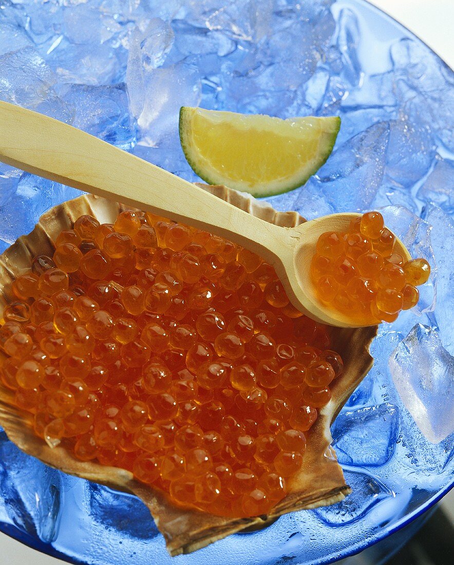 Lachskaviar in Jakobsmuschelschale auf Eis